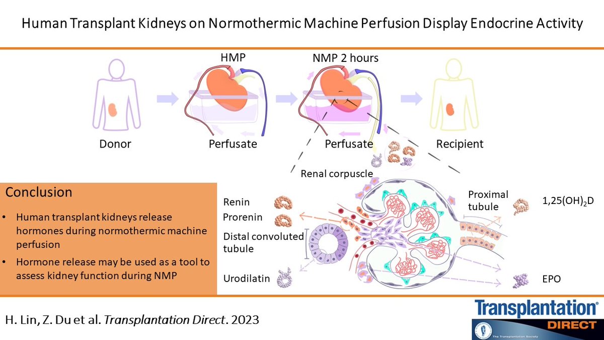 TransplantDirect tweet media