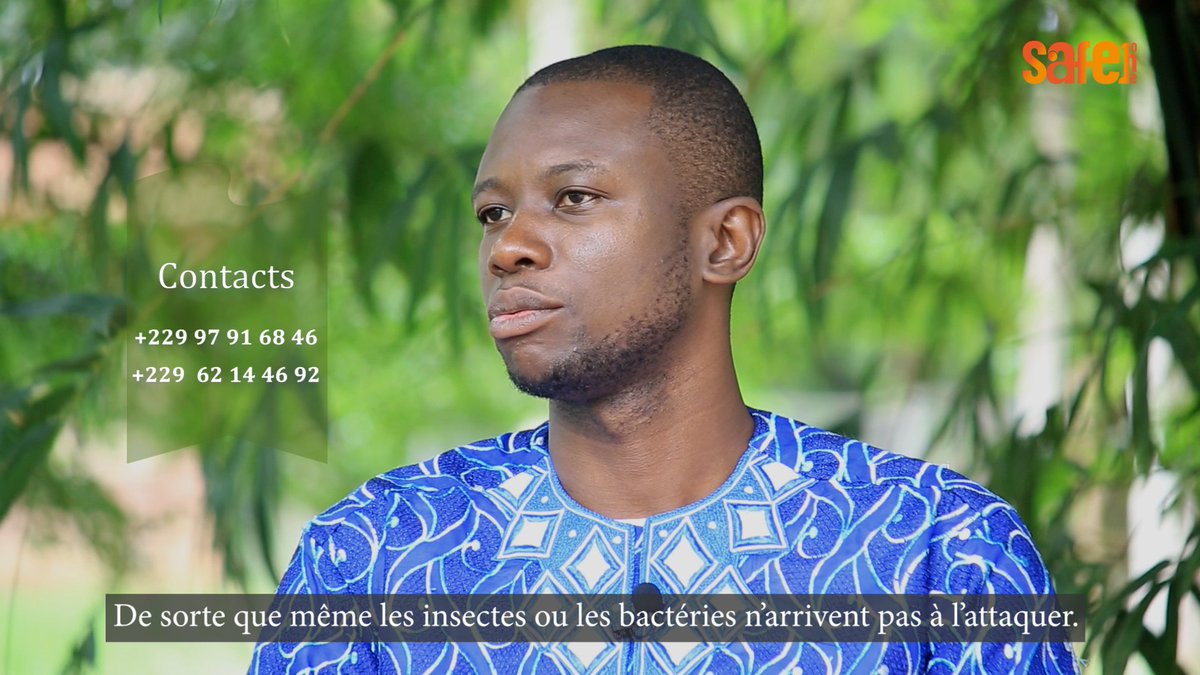 safeonelive's tweet photo. 📍Pour comprendre comment les légumes sont cultivés et entretenus jusqu'à tomber dans nos assiettes, nous avons invité un expert pour vous. Il s'agit de Monsieur SOSSOU Eliel Belchrist qui travaille à World Vegetable Center.
Suivez le : https://t.co/P0ZO0U58GA
#GLEGAN #SafeOne https://t.co/vShTydXwK8
