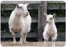 Segun Ogunyeye tweet media