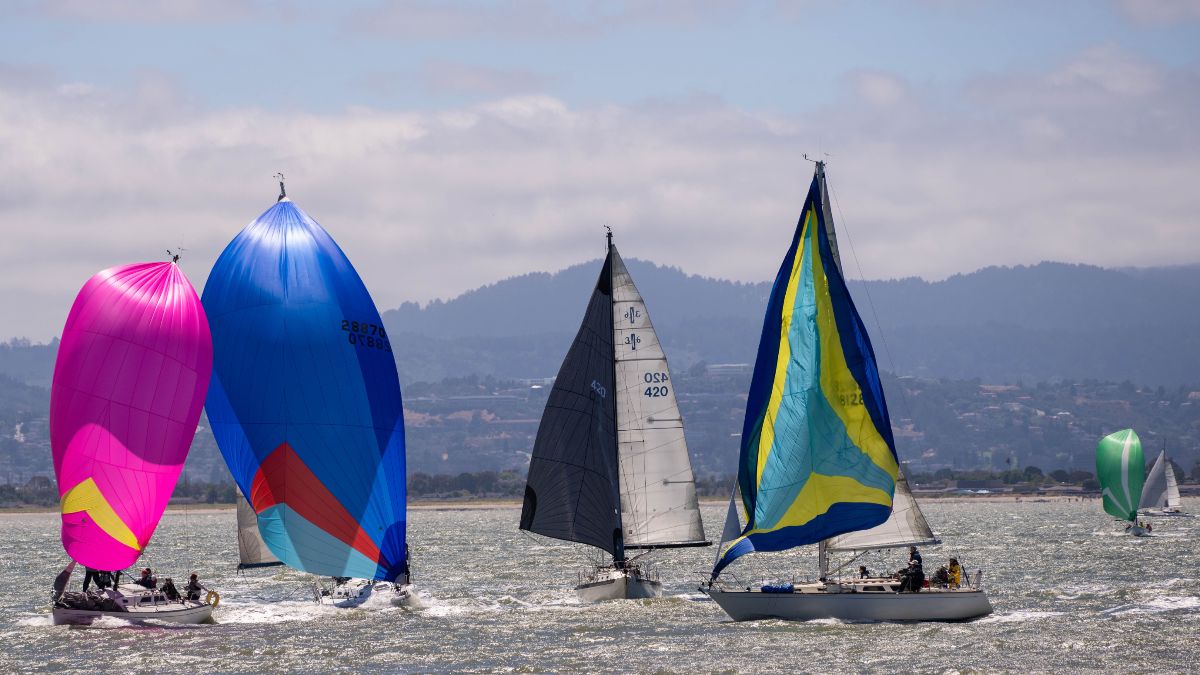 ClubAtWestpoint's tweet photo. ClubBuzz: Regatta Results and the week ahead at The Club - https://t.co/P6yNEoX7bS https://t.co/QFVojZCF7m