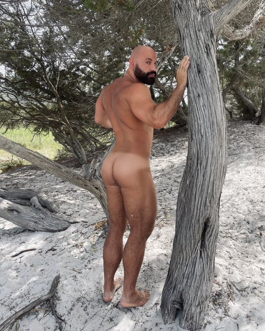 Would you follow me in the wood? 😏 https://t.co/1PLD4oAA4i