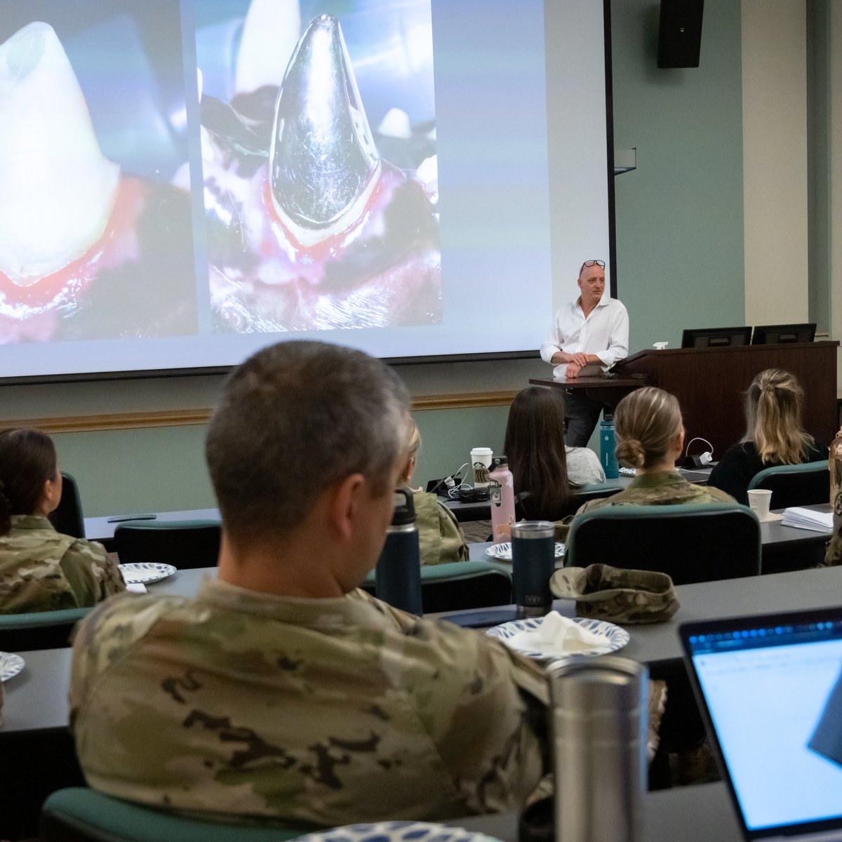 Travis60AMW's tweet photo. Check out how the UC Davis School of Veterinary Medicine experts and dental specialists from Travis AFB partnered to tackle the unique challenges of dental care for our military working dogs! 🦷🐶

https://t.co/WfIPJBCp1Y

#TrustTravis #UCDavis #DentalCare #MWD #K9 https://t.co/MGRdecmDs1