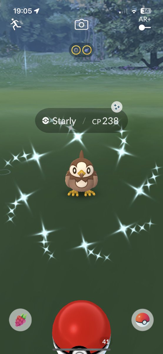 CoreyCHaynes's tweet photo. Shiny bird 🐦
#PokemonGO #PokemonGOfriends #PokemonGOCommunity #PokemonGOApp https://t.co/hxmbQQvtbc