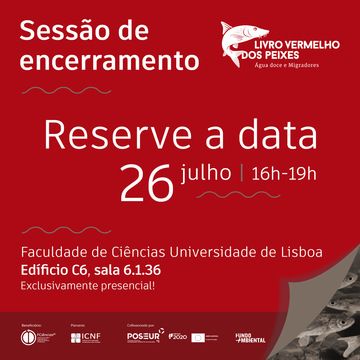 LvPeixes's tweet photo. É já dia 26 de julho, que termina o projeto Livro Vermelho dos Peixes. 𝘚𝘢𝘷𝘦 𝘵𝘩𝘪𝘴 𝘥𝘢𝘵𝘦 e fique atento às nossas Redes Sociais para acompanhar as novidades!
#lvpeixes #livrovermelhodospeixes #livrovermelho #peixe #rio #riosdeportugal #conservação #biodiversidade #nature https://t.co/yHlU8sjVIP