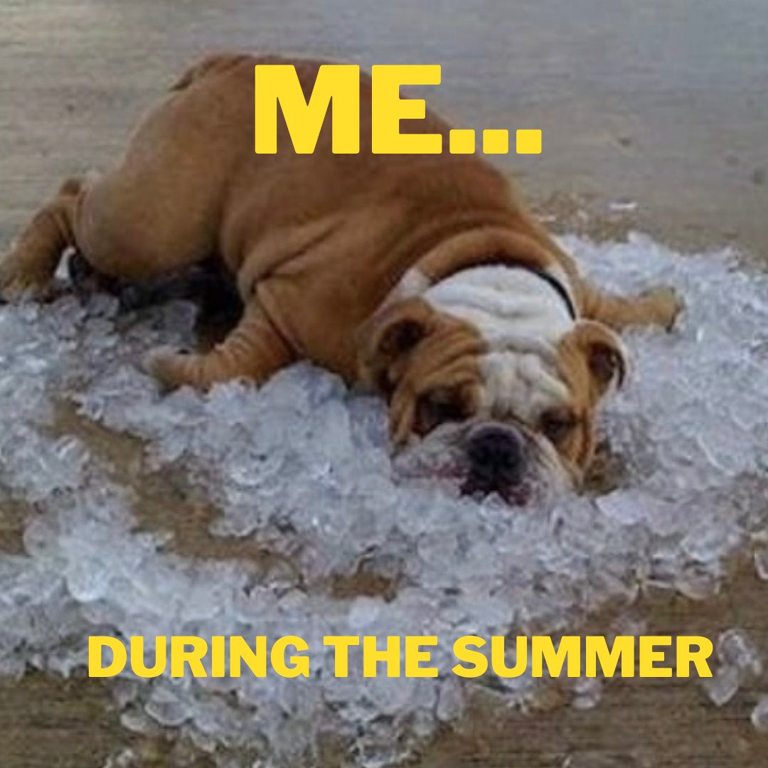 PlattWellness's tweet photo. How many of you can relate?  What are you doing to keep cool?  Here are some signs you may be experiencing hot flashes.
Dr. Platt put this VLOG together to address hot flashes.  Check it out and keep cool!

https://t.co/f4QkFUbrBP https://t.co/z6EFu79A1h