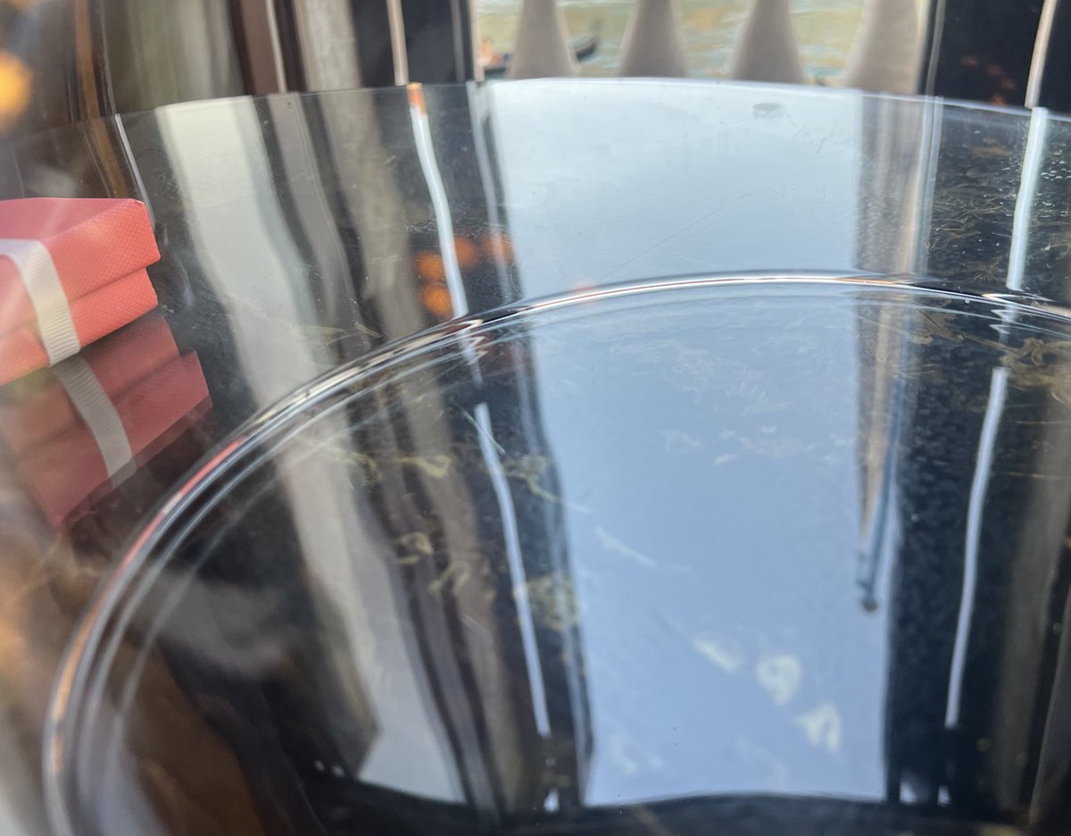 Russell Crowe tweet media