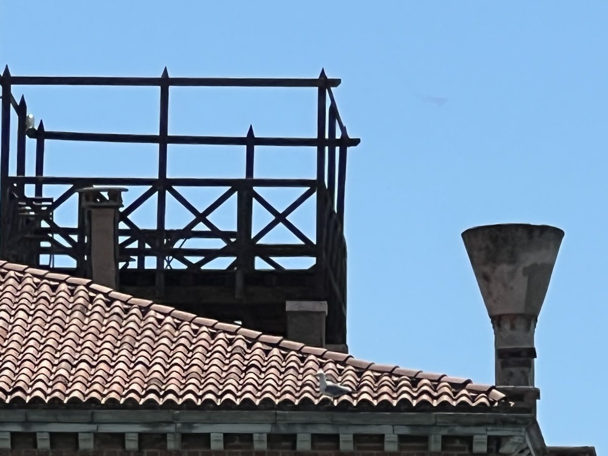 Russell Crowe tweet media