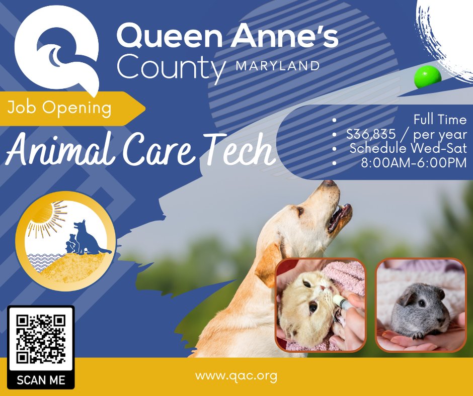 QACAnimals's tweet photo. Job Opening - ANIMAL CARE TECHNICIAN I - Animal Services
Full Time, $36,835 Annual
Closes On: July 26, 2023 at 4:30 pm, EOE
Details:  This position will work Wednesday through Saturday from 
8:00 am until 6:00 pm

To apply: https://t.co/5u4fmAiWwO https://t.co/jPRagfHold