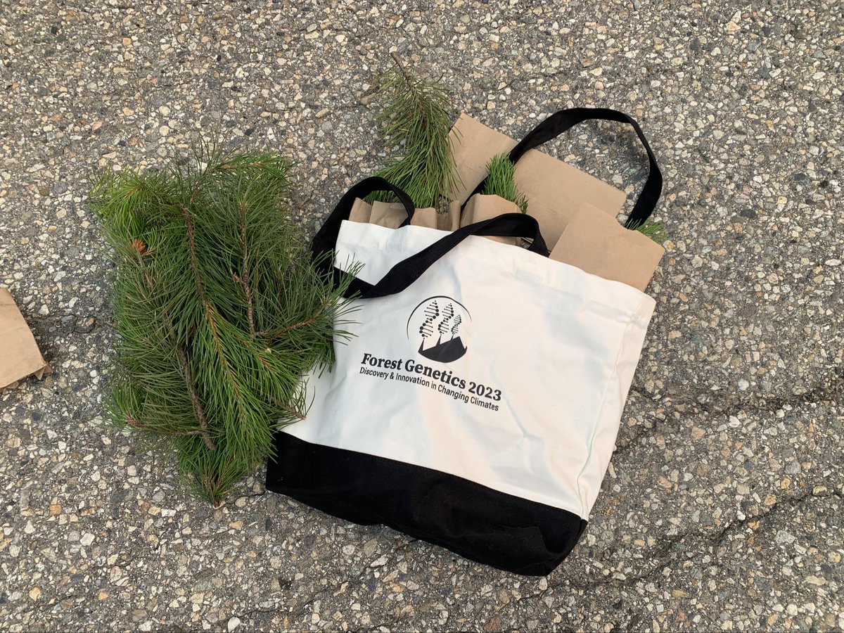 Colleen Fortier, PhD tweet media