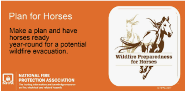 HiwasseeDamFD's tweet photo. We are moving into peak wildfire season. Now is the time to start preparing your home and animals.
https://t.co/UeFA4xXbnx https://t.co/AY4iKY958v