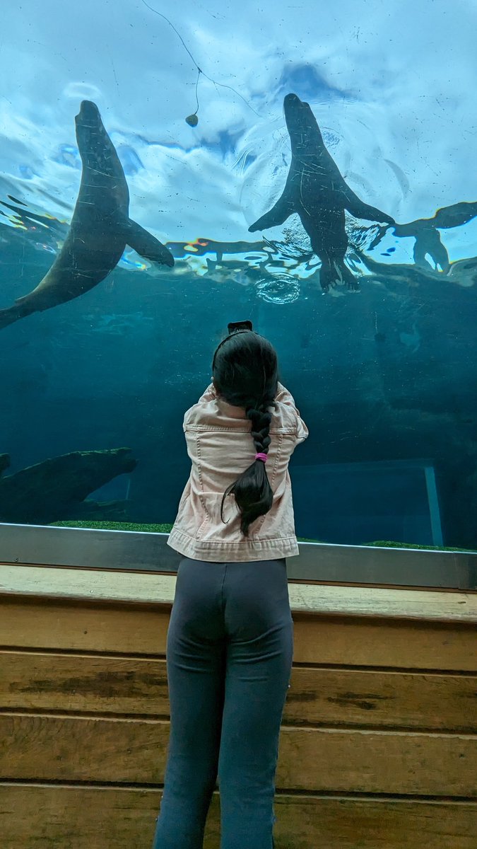 Colchester Zoo... 
Really nice place for the whole family...