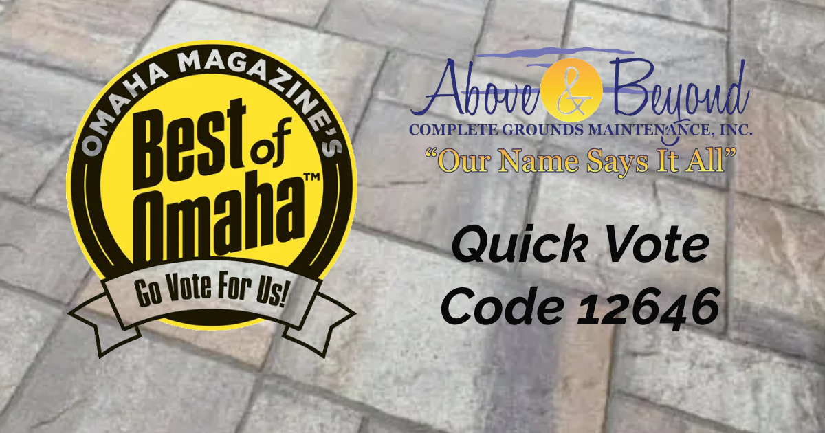 If you like our services, we would appreciate you voting for us! #BestofOmaha
bestofvoting.com/register.aspx?…