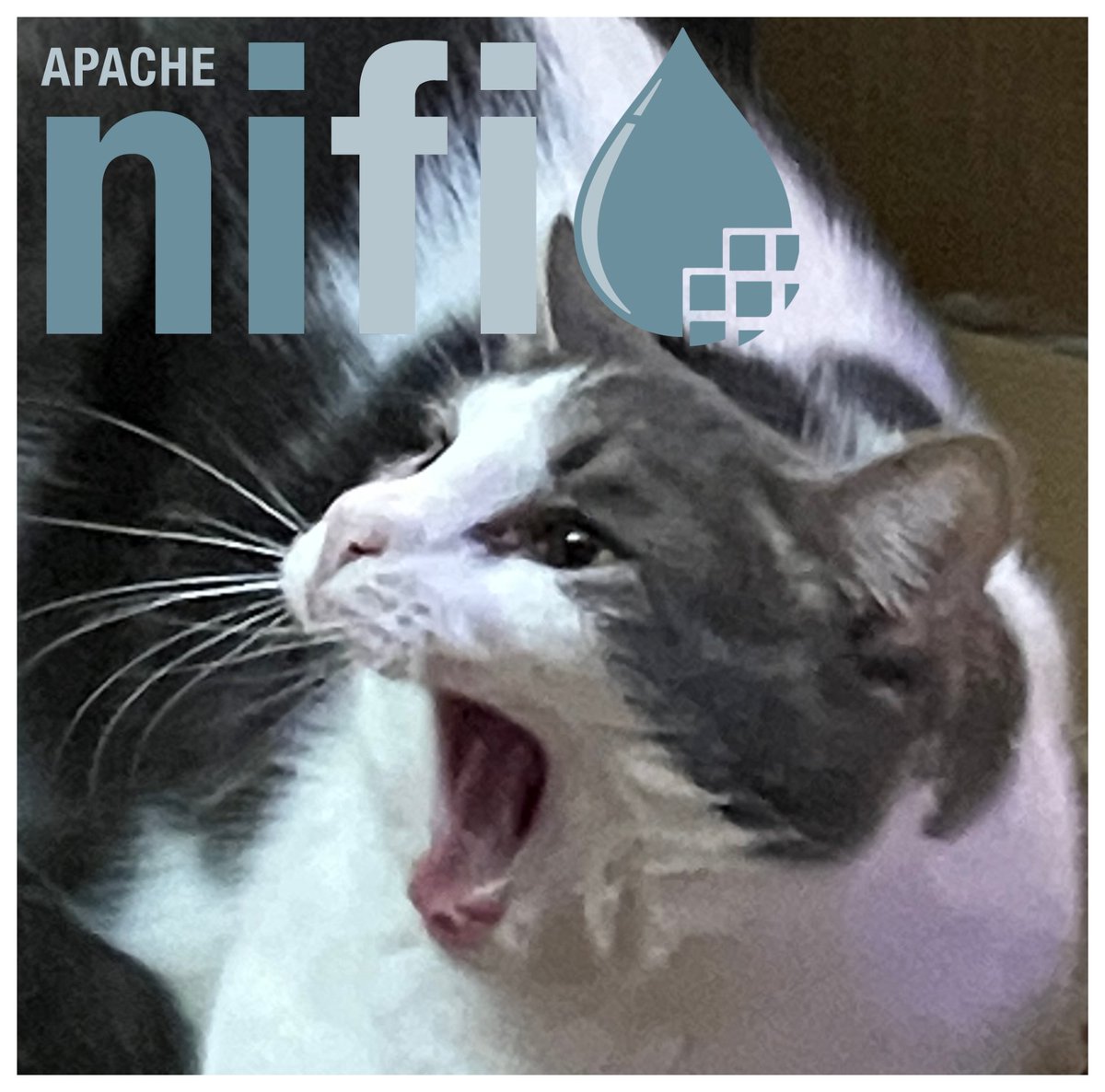 Tim Spann tweet media