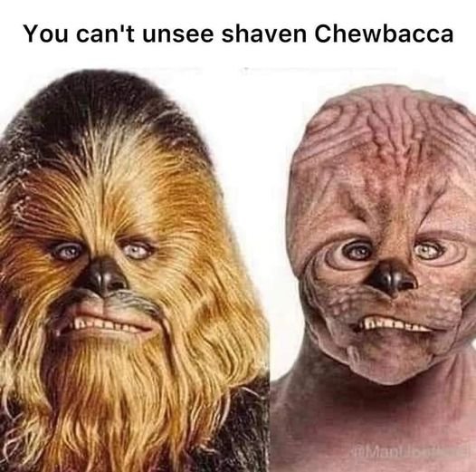 I can't get over this...😆