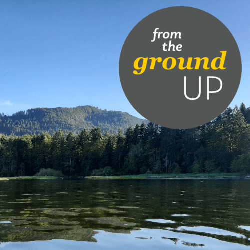 This week's blog features a list of summer literary festivals, plus more live events and workshops. 
Read it here: bcwriters.ca/articles?p=sum…

#fbcw #bcwriters #writingcommunity