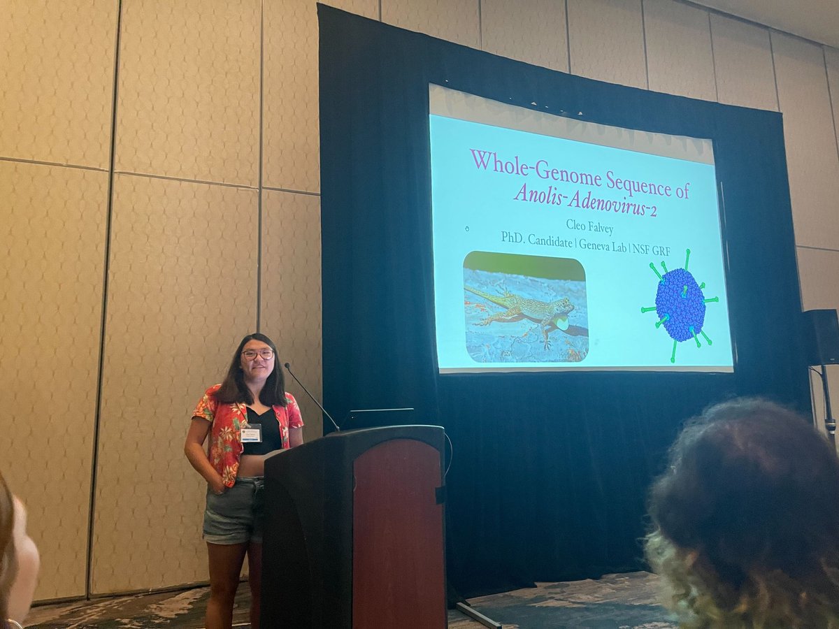 So thankful for everyone at #JMIH23 who attended my talk on Anolis Atadenovirus 2. If you didn't, the biggest takeaway is: 'Are you swabbing lizard cloacas? If so, we wanna hear about it.' If you're doing fieldwork with squamates, we'd love to collaborate...send a DM! :)