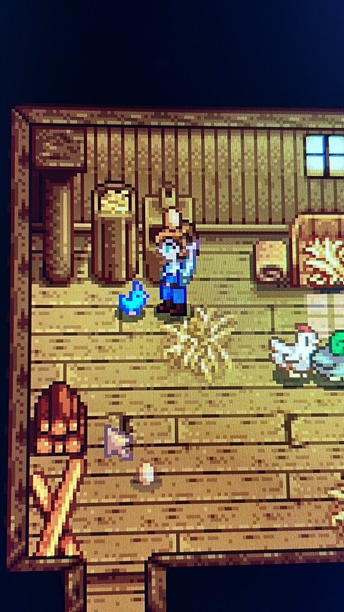 MeggEmbers's tweet photo. Screaming. Crying. Clucking. 
#StardewValley #BlueChicken https://t.co/Wt5PjWdkKX