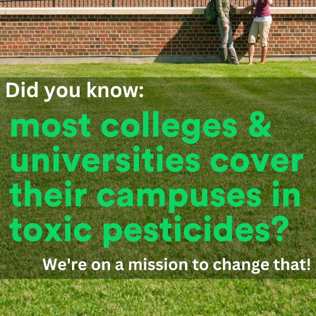 Unfortunately, most colleges and universities cover their campuses in toxic pesticides. But it doesn't have to be this way. We are on a mission to eliminate synthetic pesticides from all college campuses in the U.S. by 2030. #rewildyourcampus