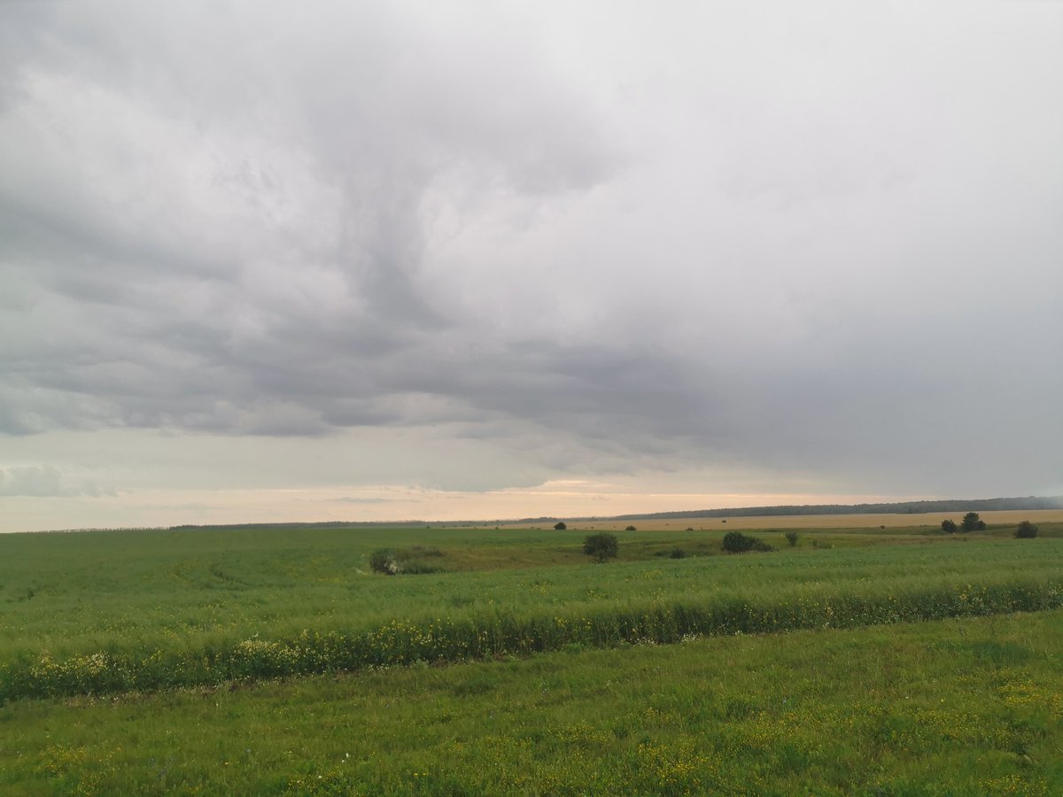 Queen is Real 👑🦆 tweet media