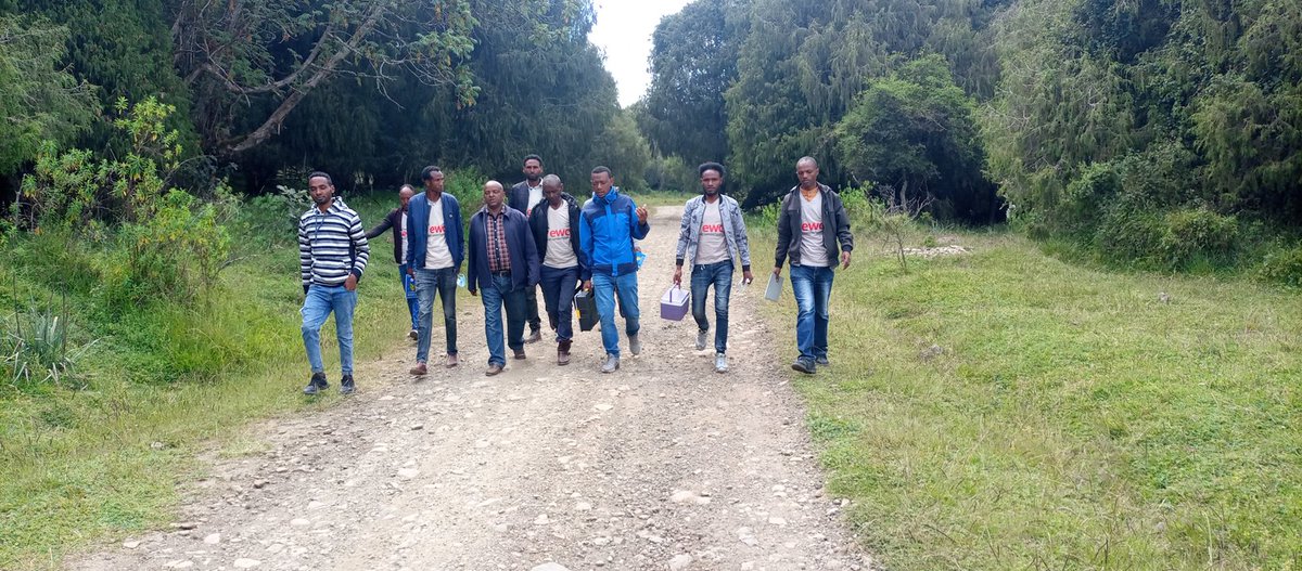 Muktar is a veterinary team in #ewcp. To minimize rabies or rabies with veterinary in dinsho woreda &amp; other local annawwas were in discussions with veterinary team. To biscuit as much as possible in #baleMouniantNationalPark area with their own experience in November 2021.