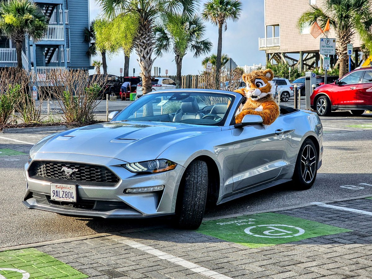 Happy #FursuitFriday! Let's go for a ride!

📷 <a href="/Cheshire_Otter/">Cheshire Otter</a>
👔 <a href="/FursuitsByLacy/">Fursuits By Lacy</a>