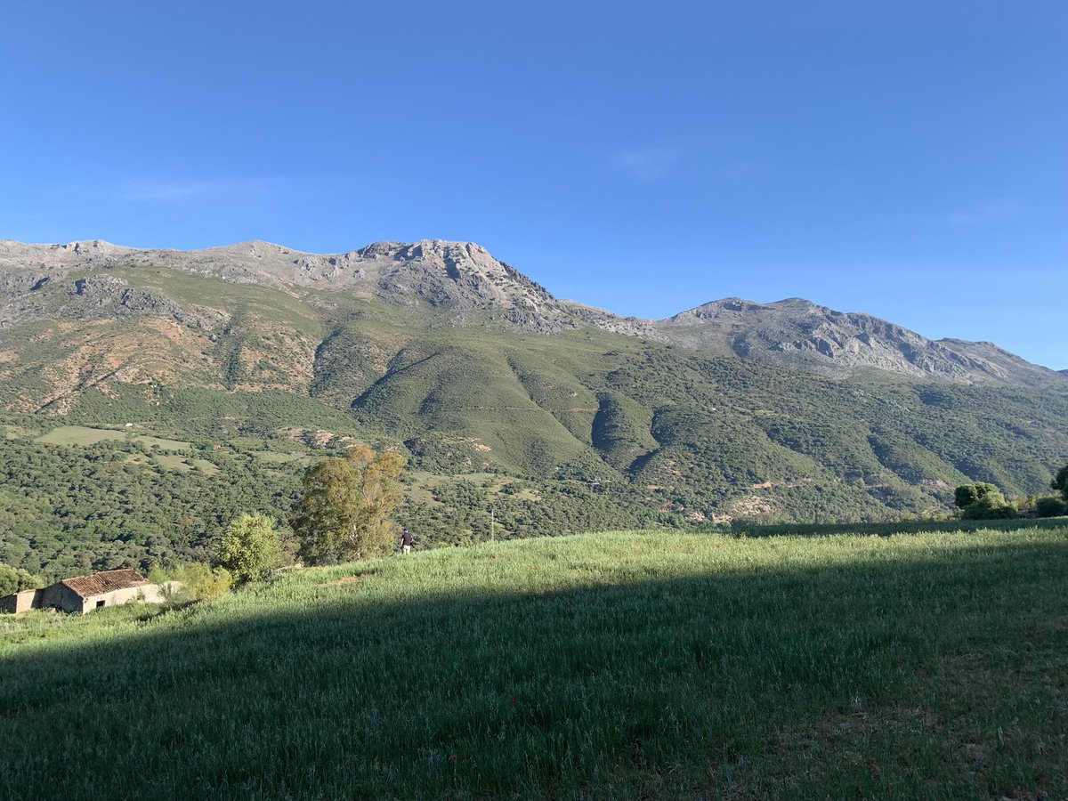 ToursWinkel's tweet photo. If you’re looking for our stand at #GlobalBirdFair then we’re sorry to disappoint but it’s full of forgettable dullards and we’ve got better things to do https://t.co/t7aBQ4ZDIA