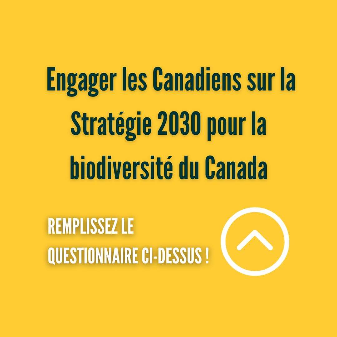 En savoir plus : eccc.sondage-survey.ca/f/s.aspx?s=f98… #Biodiversité