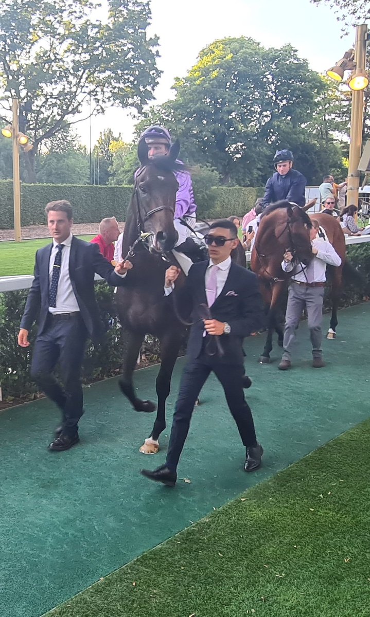seenthestars's tweet photo. Grand Prix de Paris #FeedTheFlame #RubisVendome #WinterPudding #AdelaideRiver @rpbloodstock @RacingPost https://t.co/3Gk3Oot3eZ