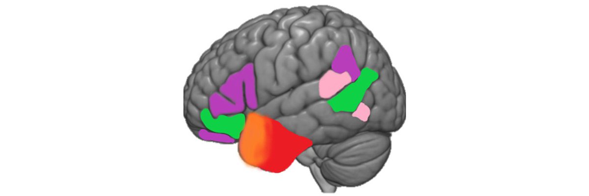 I’d like to hear from potential PhD applicants with an interest in neuropsychology/neuroscience of language/social/semantic cognition. Potential scholarship opportunity with a deadline of August 11th. Even better if you speak Welsh. DM/email me.