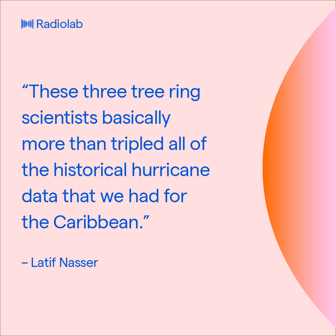 At a tree ring conference in the mostly treeless city of Tucson, 3 scientists walk into a bar. With help from @latifnasser, pirates, astronomers & an 80-year-old bartender, this ep will change the way you look at the sun. (PS: don't look at the sun.) 🎧: bit.ly/3uujYXP