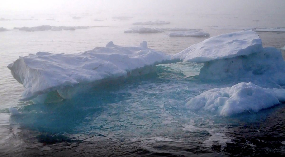 noaaocean's tweet photo. It's Arctic Sea Ice Day - we are facing a record low of arctic sea ice. This video explains why it is so important to the polar regions, climate, and many animals - and what we can do to protect it:
https://t.co/x4A8756vn7 https://t.co/rFWFZoAvlC