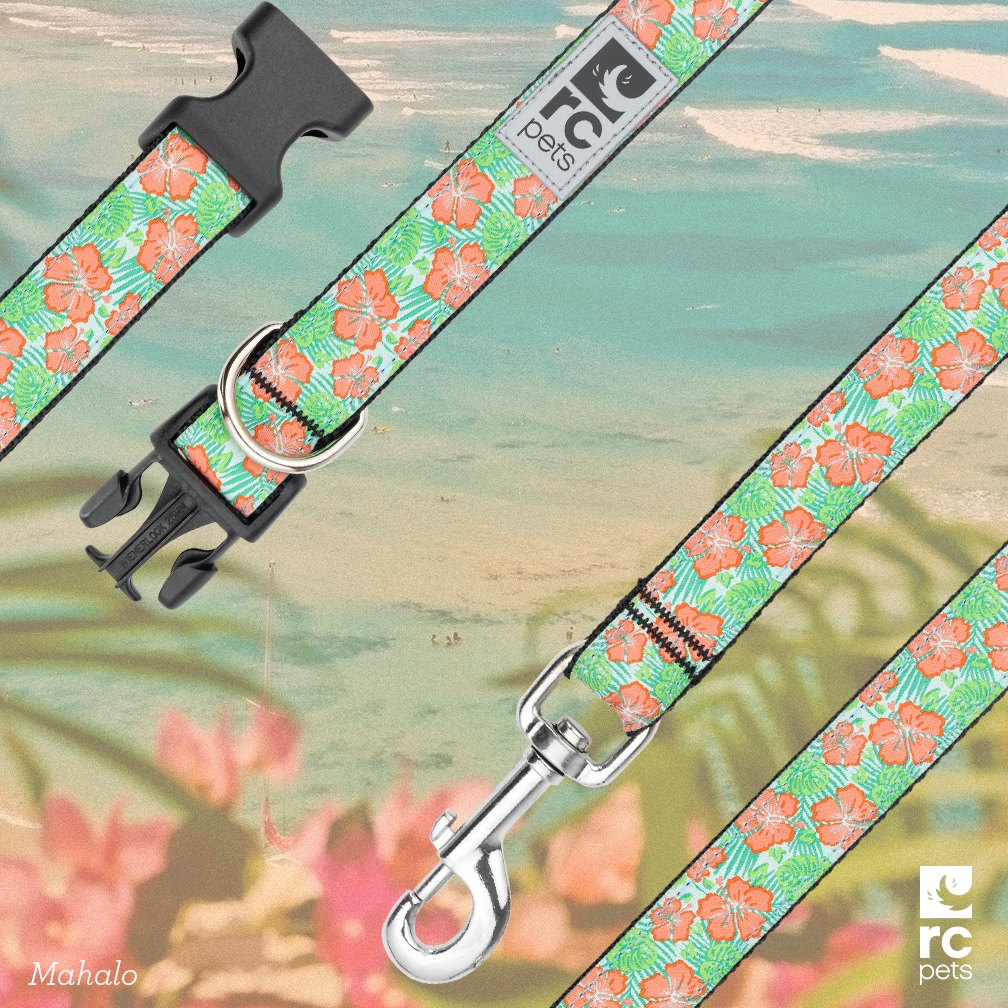 🌸 Fresh Release Friday 🌸 ⁠
⁠
Say aloha to this fun new summer print, Mahalo.⁠
⁠
Available now in our collar and leash collection!⁠

Find out more at: l8r.it/aajD
⁠
#rcpets #welovepets #inspiredbypets #makeeverydayatreat