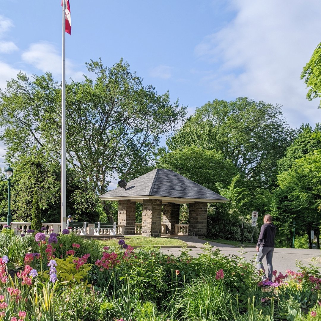 Visit the Montcalm neighbourhood like a local with these 3 must try spots. There is something for everyone's taste! 🚶‍♂️🤩 #quebeccite
 
👉 bit.ly/MontcalmLikeAL…