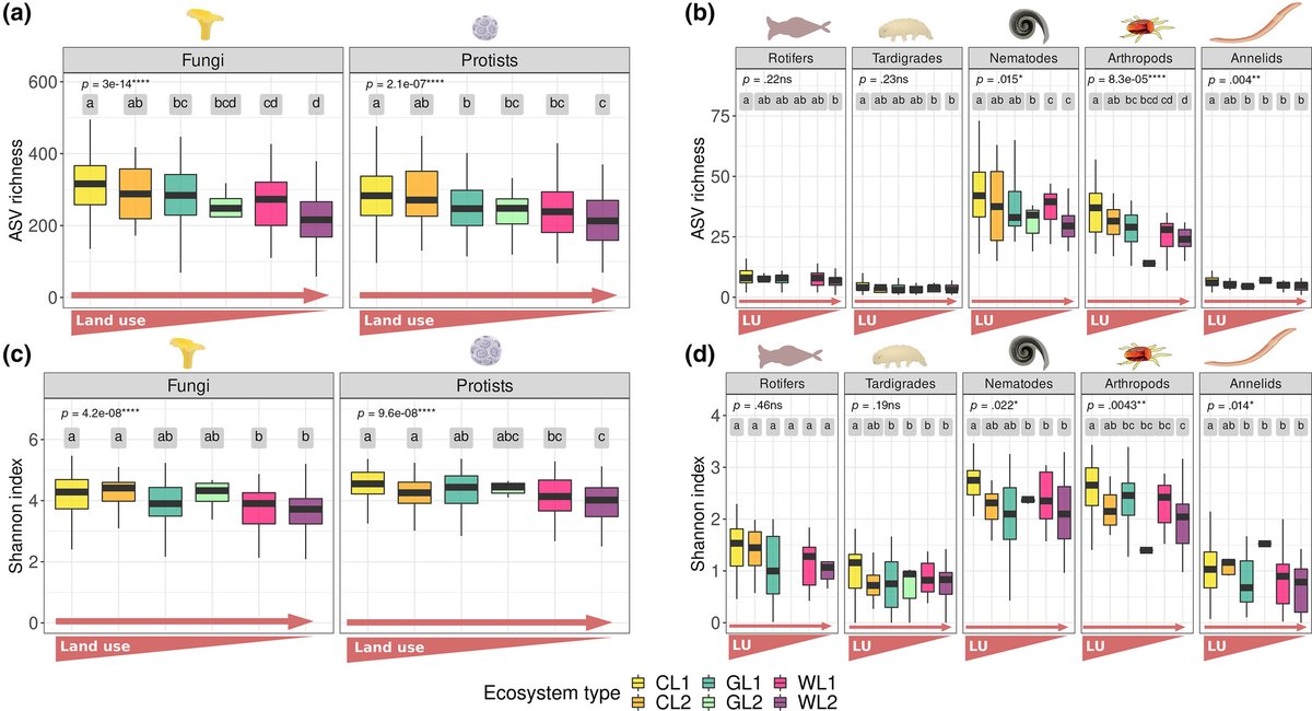 Panos Panagos (@panospanagos33) on Twitter photo HIGHER diversity of fungi 🐜🪳🕸️🐛🐞, protists, nematodes, arthropods, and annelids was observed in croplands than in less intensively managed systems. Top 🔝 <a href="/EU_ScienceHub/">EU_ScienceHub</a> research on Soil Biodiversity based on #LUCAS 800 samples. now at
<a href="/GlobalChangeBio/">Global Change Biology</a> onlinelibrary.wiley.com/doi/full/10.11… HIGHER diversity of fungi 🐜🪳🕸️🐛🐞, protists, nematodes, arthropods, and annelids was observed in croplands than in less intensively managed systems. Top 🔝 <a href="/EU_ScienceHub/">EU_ScienceHub</a> research on Soil Biodiversity based on #LUCAS 800 samples. now at
<a href="/GlobalChangeBio/">Global Change Biology</a> onlinelibrary.wiley.com/doi/full/10.11…