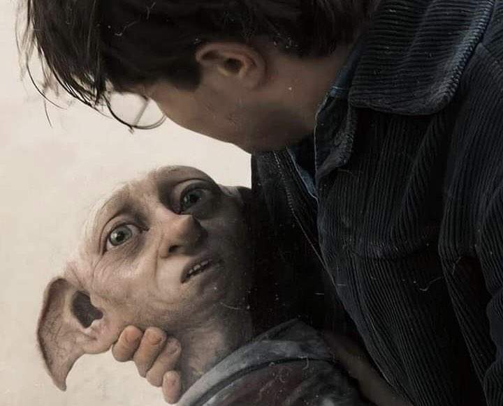 didriscoll's tweet photo. @MeganDavidhizar Dobby. https://t.co/RpgONiUZQb