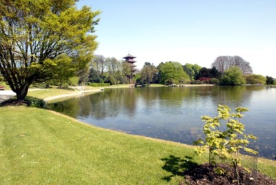 Vreemd, er is blijkbaar geen #openluchtzwembad in Brussel.

Maar er is wel een prachtig park, bijna zo groot als Monaco, voorzien van vijvers, serres en kastelen, gefinancierd door de Belgische belastingbetaler.🤔