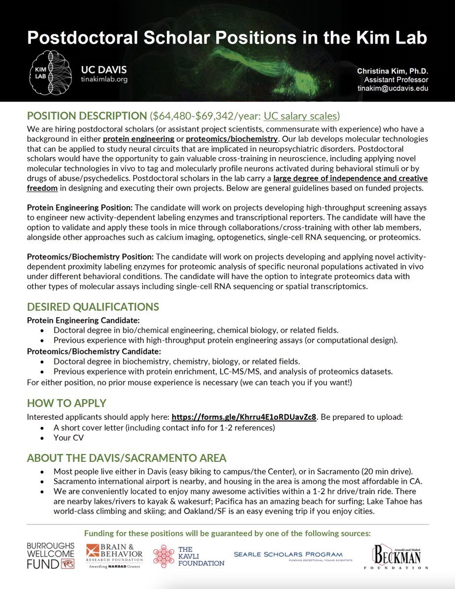 Are you a protein engineer or biochemist looking to do a postdoc in a neuro-focused lab? Join our team! We are hiring 2 postdocs to engineer & apply in vivo activity-dependent enzymes for linking behavioral function with proteomics/RNAseq data. Info here: tinakimlab.org/2023pdpositions