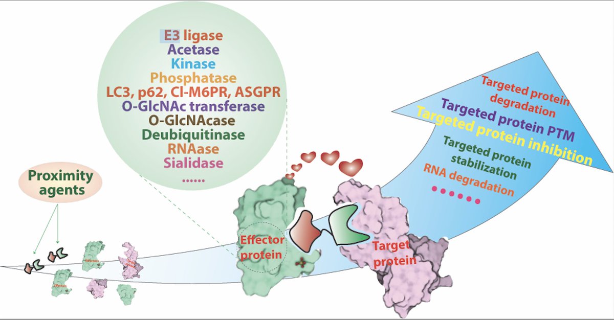 Alessio Ciulli (@alessiociulli) on Twitter photo Excited to share our new review on Proximity-Based Modalities for Biology and Medicine | Just out ASAP in ACS Central Science <a href="/ACSCentSci/">ACS Central Science</a> pubs.acs.org/doi/10.1021/ac… Excited to share our new review on Proximity-Based Modalities for Biology and Medicine | Just out ASAP in ACS Central Science <a href="/ACSCentSci/">ACS Central Science</a> pubs.acs.org/doi/10.1021/ac…