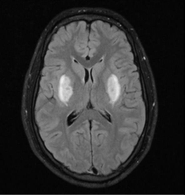 Journal of Brown Hospital Medicine tweet media