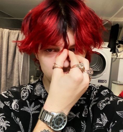 топ пять действенных методов дрессировки.