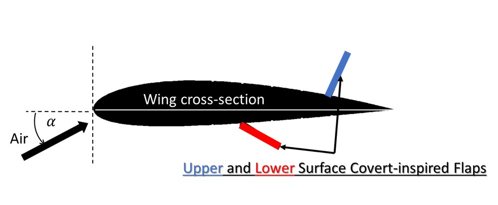 3/n Results from our wind tunnel experiments show that deploying upper and lower surface coverts simultaneously increases our control over the lift, drag, and pitching moment compared to any single surface configuration.