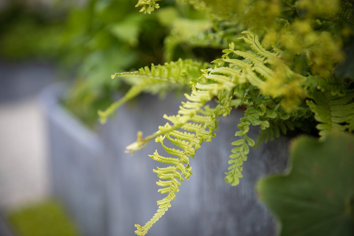 One week on from our People’s choice award at RHS Hampton and here are some preliminary shots of the garden from Annabelle May Photography #rhshampton <a href="/The_RHS/">The RHS</a> <a href="/WildlifeTrusts/">The Wildlife Trusts</a>