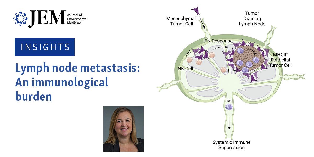 Lymph node #metastasis: An immunological burden. New Insights from Amanda Lund <a href="/theLundLab/">Amanda Lund Lab</a> on the recent study by Lei, Pereira et al. <a href="/PaderaLab/">Padera Lab</a> <a href="/beyazlab/">Semir Beyaz</a> (bit.ly/46dGZk1): bit.ly/3XDeFDP

#TumorImmunology #BreastCancer