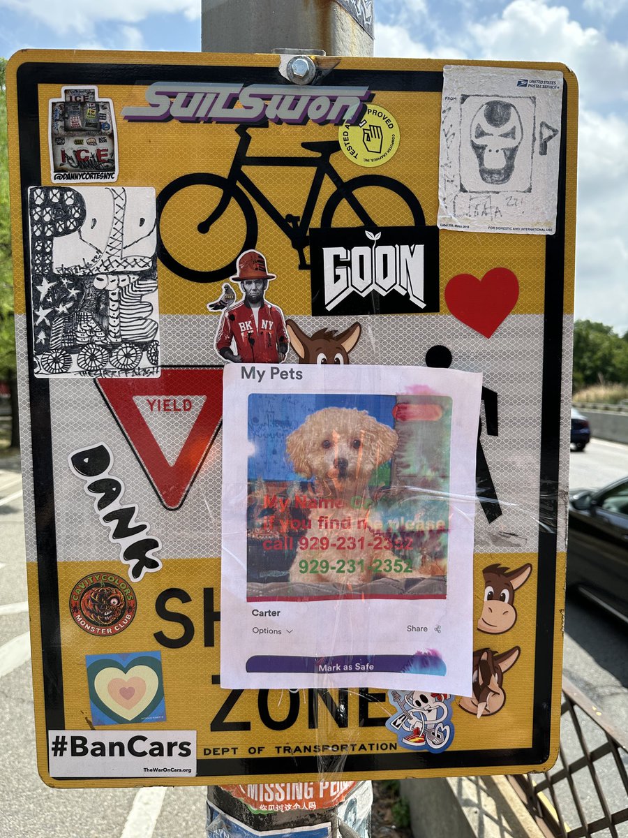 Lost dog composition, bike entrance, Manhattan Bridge, Brooklyn entrance