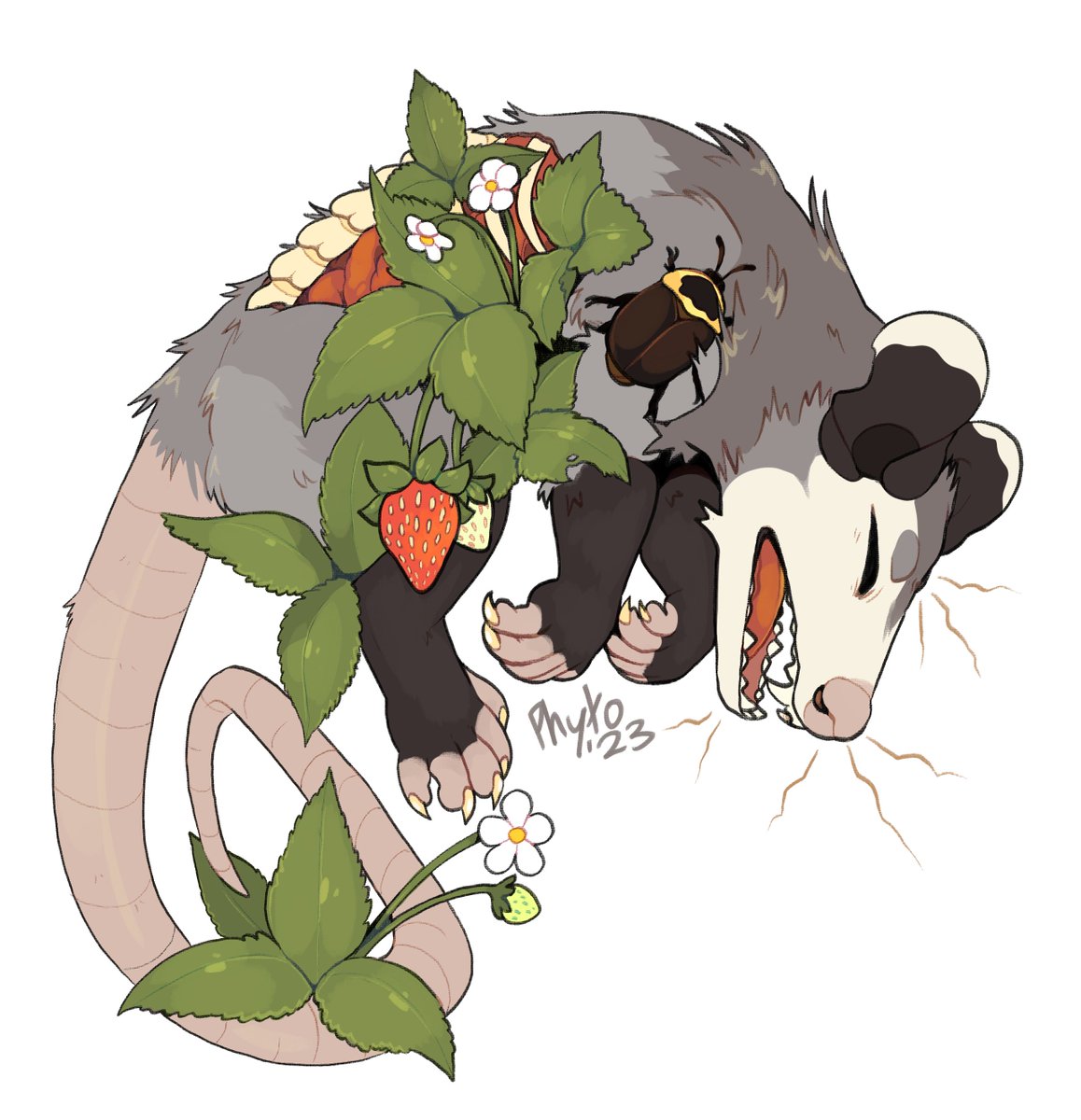 PHYTOFERN's tweet photo. Roadkill🍓 https://t.co/dPLiCKx2Ih