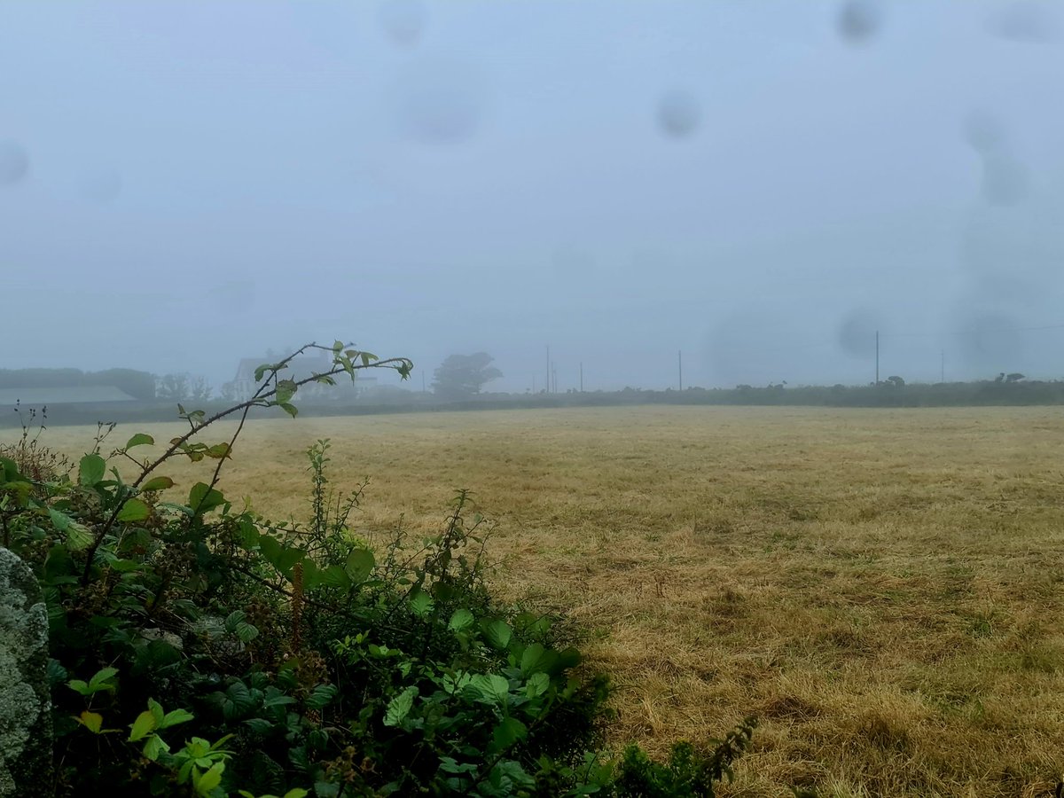 gnome_alice's tweet photo. Morning walk, #Boscean House is there,if you can see it. Good thing that hay has beensaved already.
The covers are on.
#Lannust
#Kernow https://t.co/hsbdPIxmex