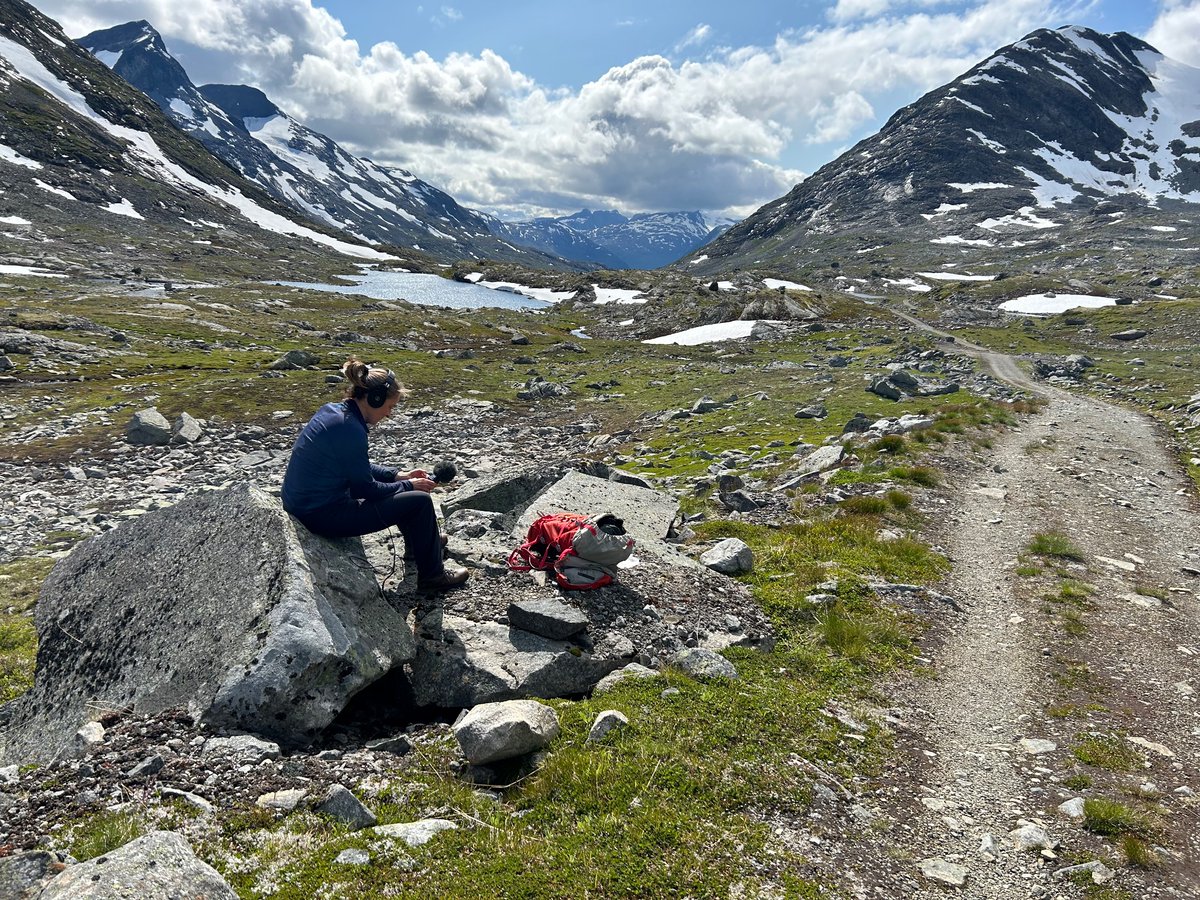 _celiarobbins's tweet image. An incredible day in the field with Prof John Matthews and Dr Richard Mourne. It’s been a privilege to join the 50th Jotunheimen expedition researching glaciation, climate change in Norway. @UWE_GEM @ExeterGeography  #fieldrecording
