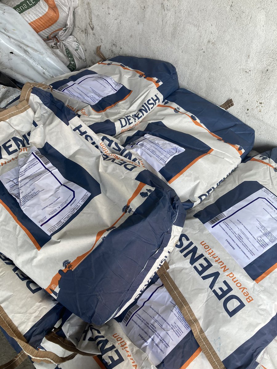 sns_uruguay's tweet photo. El control de pH ruminal está controlado con #SmartMag
Cuide sus vacas del desequilibrio que generan los cambios en la dieta en el pH del #rumen
Único con 15% de aporte de Mg
#Devenish #BeyondNutrition https://t.co/D40kmEoIwp