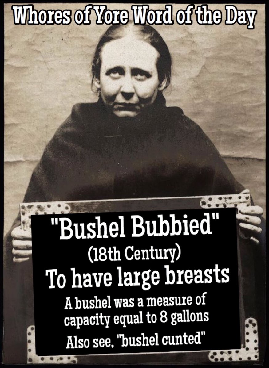 WhoresofYore's tweet photo. Word(s) of the Day. “Bushel Bubbied” https://t.co/Xo3H2UtrKl