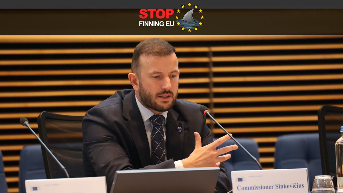 StopFinningEU's tweet photo. We want to thank @VSinkevicius  and his team for the  invitation to talk about the EU response on #FinBanNow in person. 🇪🇺🙏 We look forward to resuming our cooperation and will continue to be at the forefront for sharks! 🦈 https://t.co/I5VuHNA4LV